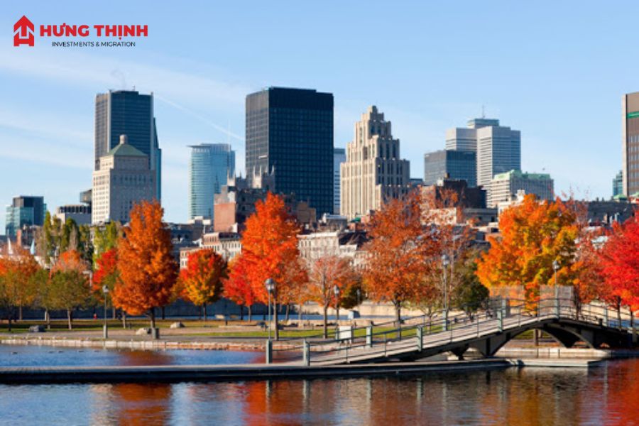 Lá phong được xem là biểu tượng văn hóa của Canada