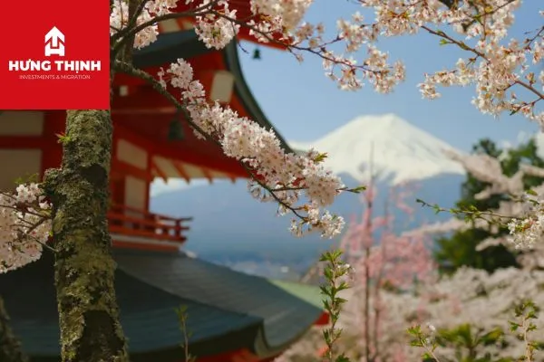 Dịch Vụ Visa Nhật Bản 2026 Uy Tín – Trọn Gói, Nhanh Chóng, Giá Tốt 6 Xin visa Nhật Bản có khó không?